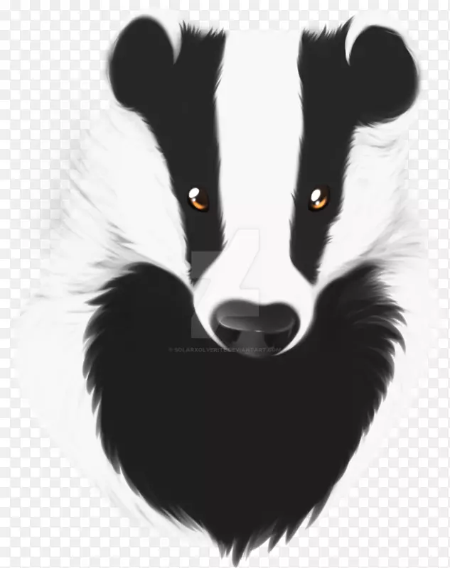 ���롢���ӡ�ëƤ.⵻���-������