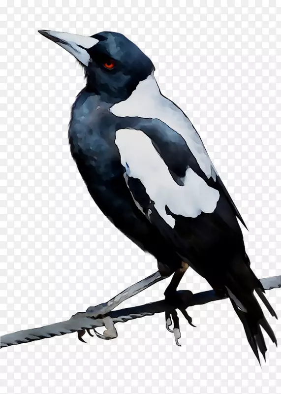 �񣬰���ϲȵ��ŷ��ϲȵ�������-������