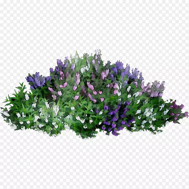 pngͼƬ�����������ܹ�ľ��ͼ��-������