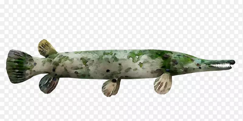 ���ද��-������