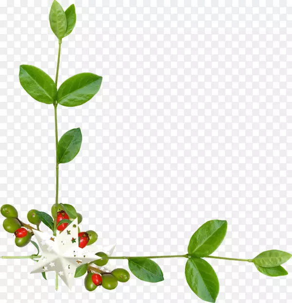 ͼ�����Ĳ���ͼƬ�����������.�ʻ�װ��-������