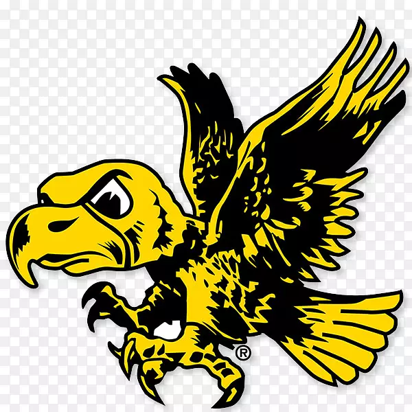 ���ɻ���ӥ�����򰮺ɻ���ӥ��������������ӥ�����Ե���½��-�͹�����-������