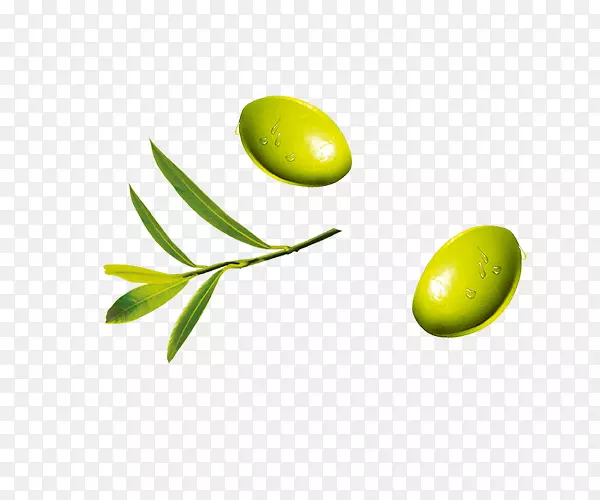 ���Ҷ��魹�ʵ-������