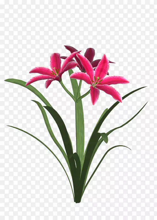 �л�-������