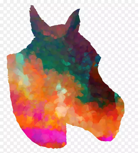 Ⱦ�ϳ�S.A.-������