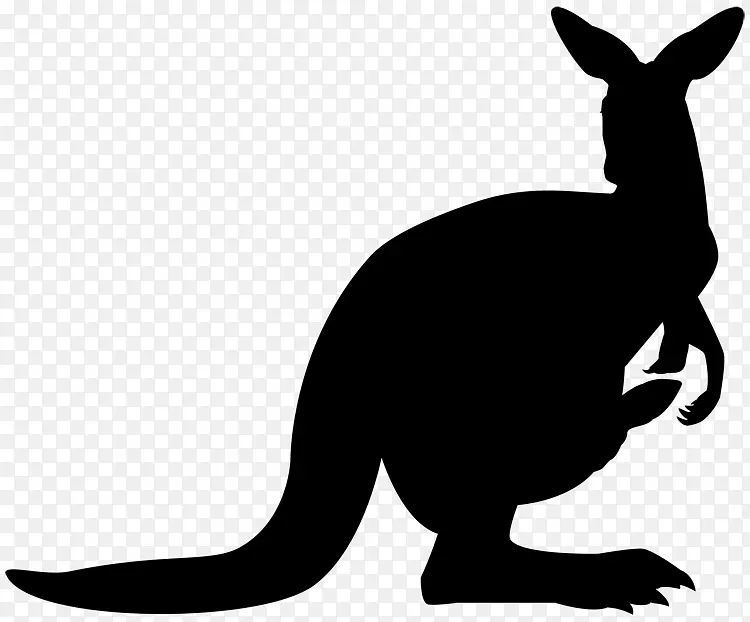 è����ü���������-������