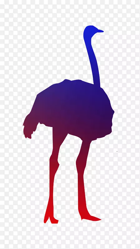 ������ͨ����ͨ��־-������