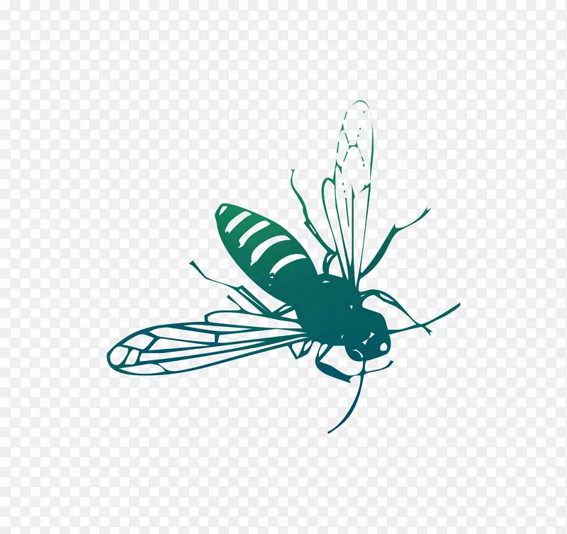 ���������������־���-������