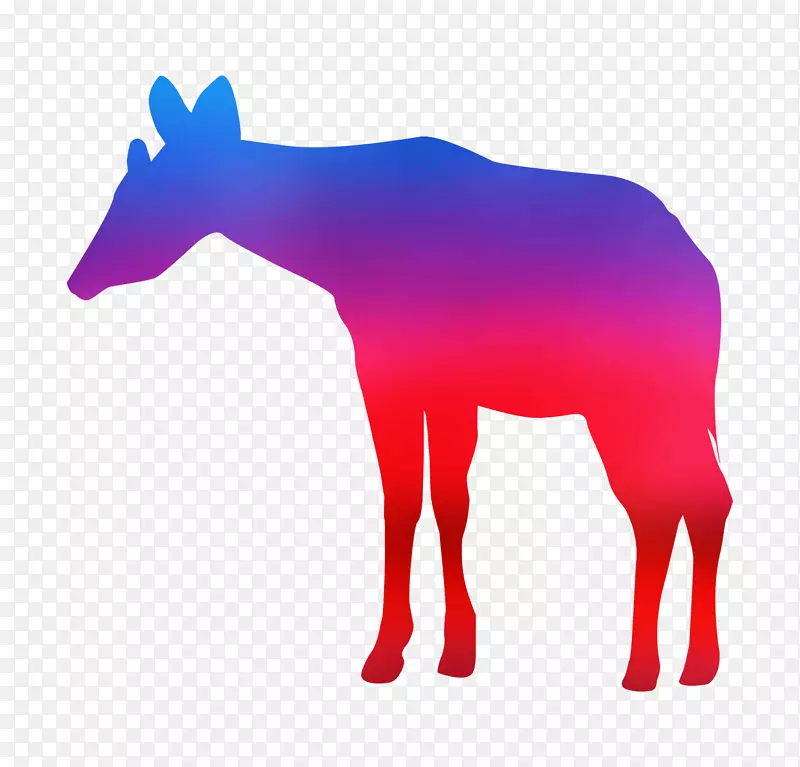 ѱ¹�������������Ӱ����-������