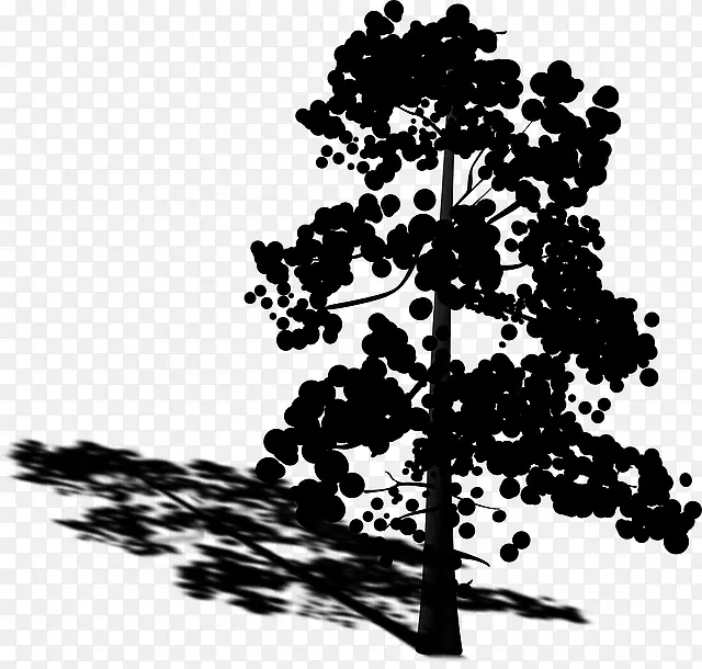 ��������Ҷ����ֲ��-������