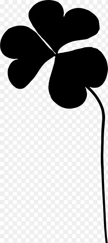 ������Ҷ��ֲ�ﾥ����ֲ��-������