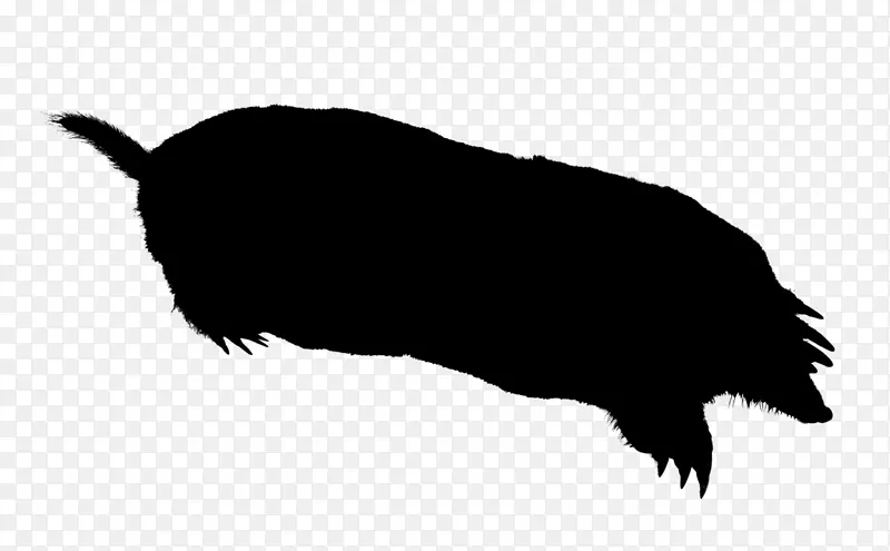 ���죬���ӣ�������-������