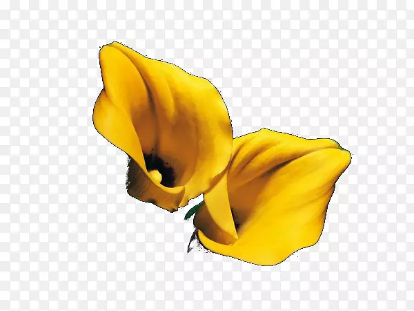 �л�����ֲ��.���ຣ��-������