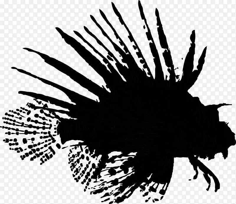 Ҷ�Ͳ�Ӱ������ֲ��-������