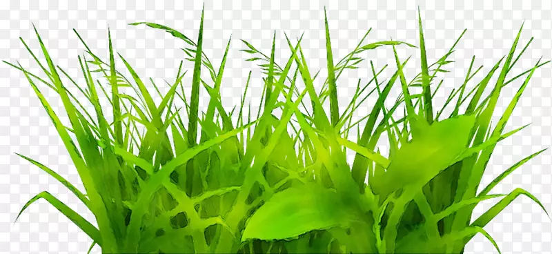 ������¶�첿��ͼ��pngͼƬ��ͼ-������