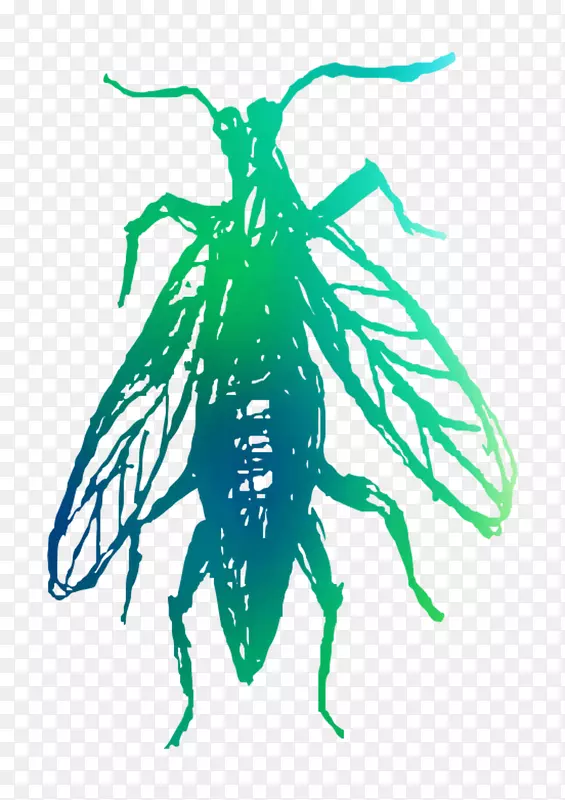 ���洫�۳�Ĥ-������