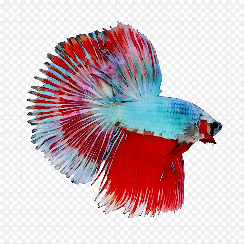 ��-������