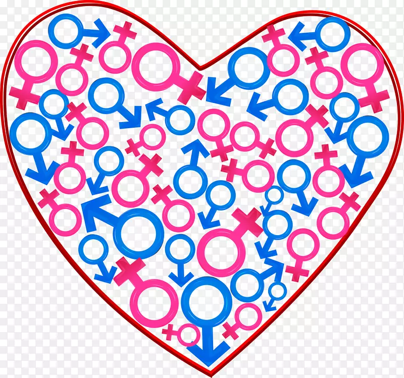 �����װ�����������-������