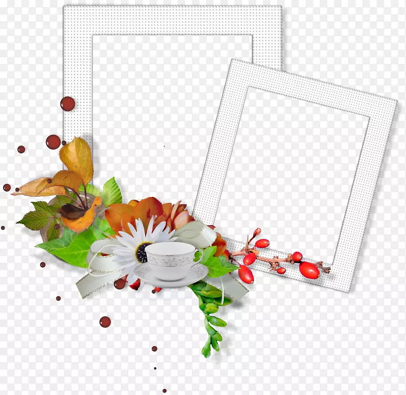 ���Moebe֡ͼ������ʼ���Ӱ.���ʶȿ��-������