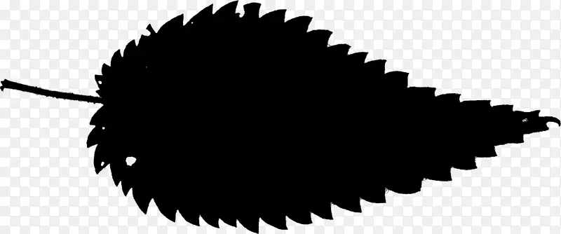 ����˹��˹��-�ƴĽ����µİ�˹͡����-�ƶ�Ī-������