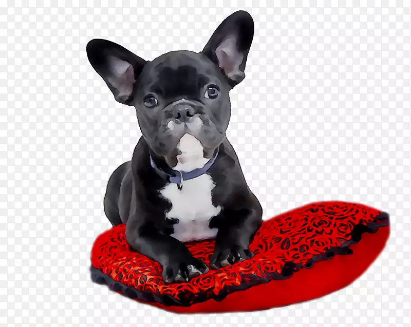 ������ţȮС�����հ¶��32��˾�������������������-������