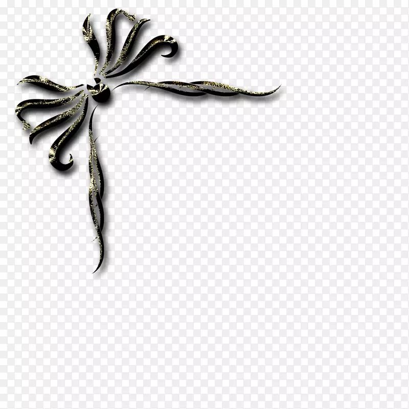 pngͼƬswfͼ��ͼ��adobe flash cerveװ����-������