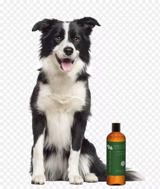 �ֲ�����Ȯ�߾�����Ȯ�к�������Ȯ��ɫ��ȮƤ�ٽ�ë��Ȯ-������