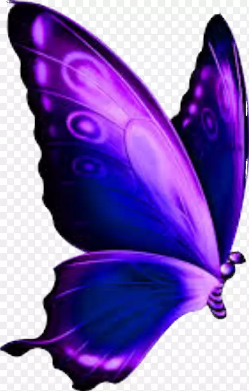 ��β����������pngͼƬ�������-������