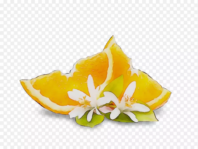 �л�����ֲ��-������