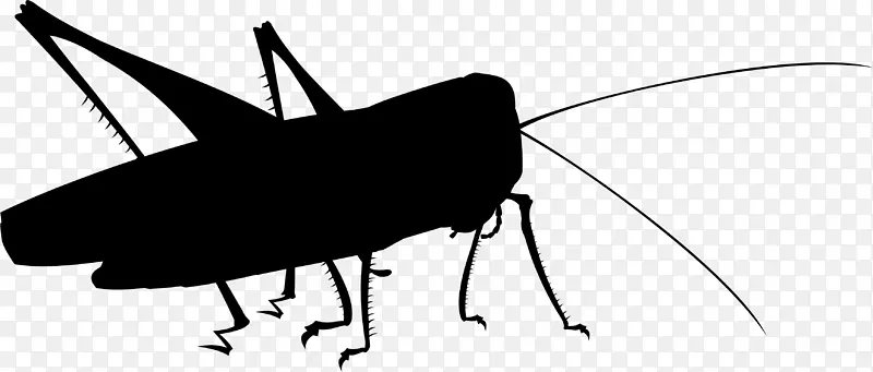 �������洫���߼���������-������