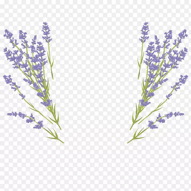 ͼ�ΰ�˰-���޹�²ݲ�ͼ�������뺯-����������װ��-������