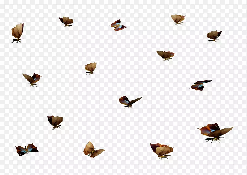 �����m/0dĤ�۳�Ŀ-������