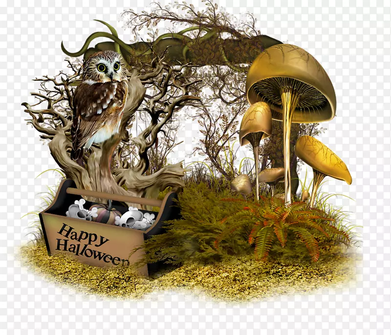 �����ռ�ͼƬ��ʥ��LiveInternet-�Զ�����-������