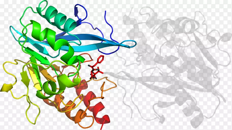 �廭�������л�����-������ͨ-������