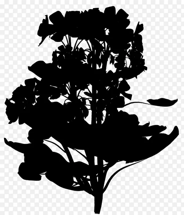 ����ֲ���Ӱ����Ҷ-������