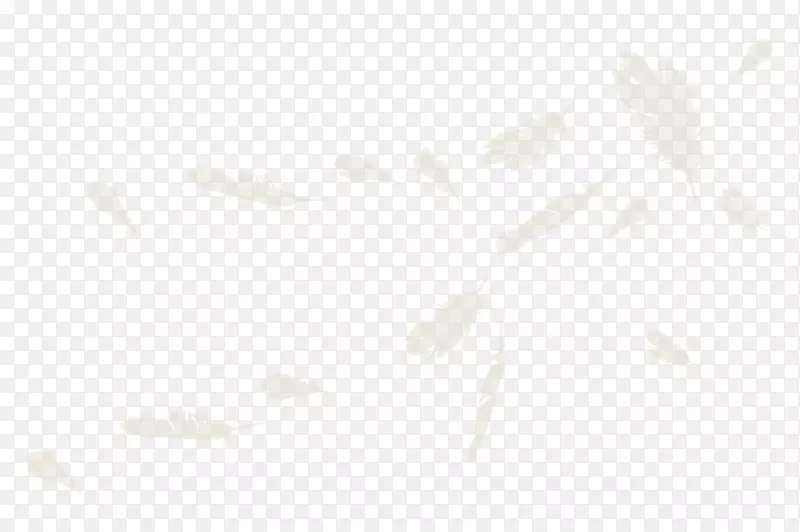 �����ɫ�����ֽ�����ë-������