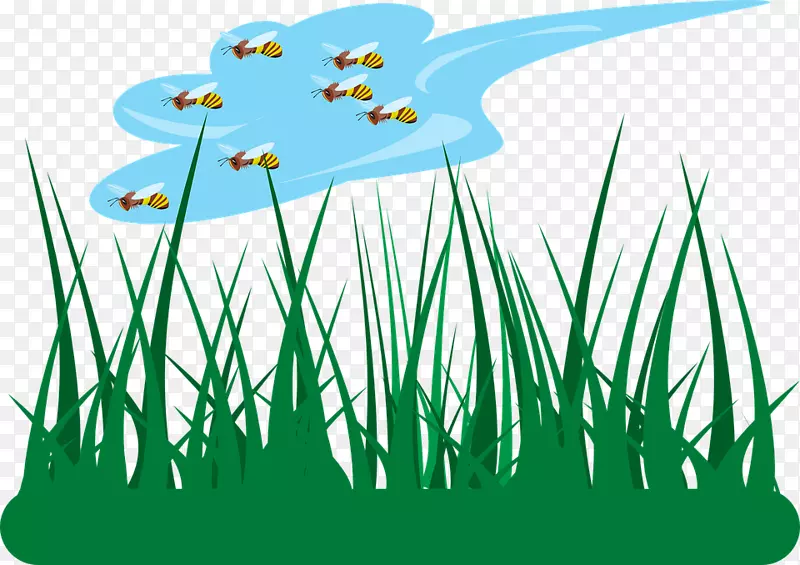 ������pngͼƬͼƬ��ͨ��ƺ.����-������