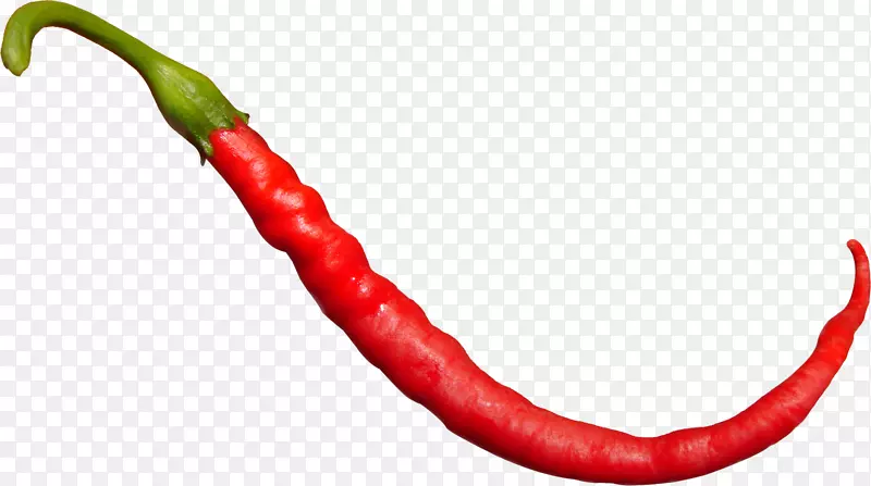 ��������С��ޢ-������