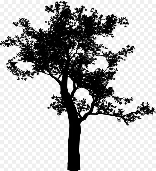 ������pngͼƬͼ���ͼ��ͼ-������