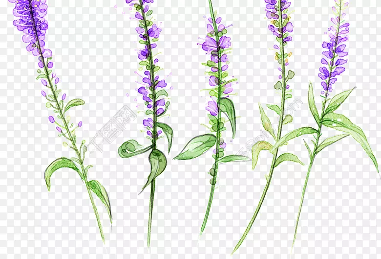 pngͼƬ��������ͼƬӢ��޹�²�-������