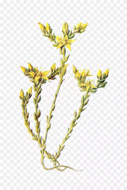 ������Ұ��pngͼƬͼ����Ӱ��Ʊ-������