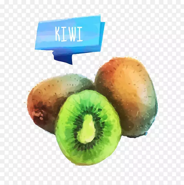 ��֭ˮ�ʻ�-⨺���-������