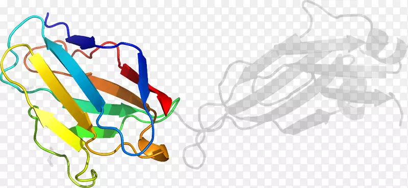 �廭��������Ʒ���-������