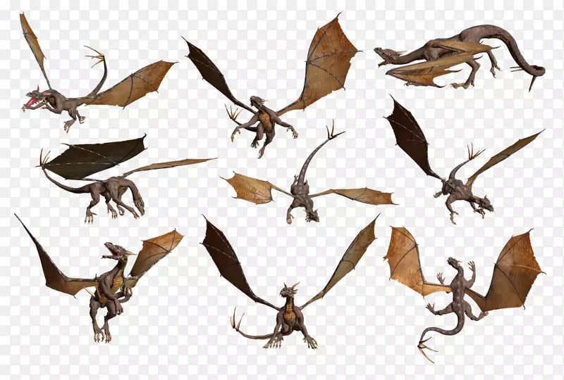 ��ͼ���������������ͼ��-������