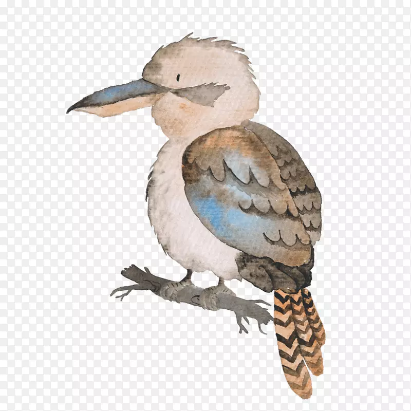 ���޿�������Ѽ���޶���ͼ-������