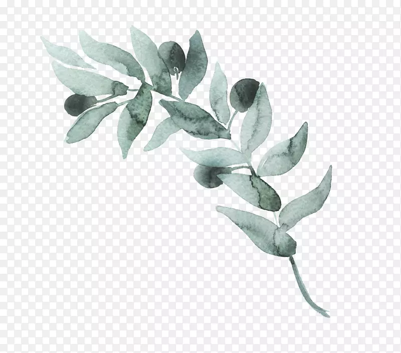 ˮ�ʻ�����-������