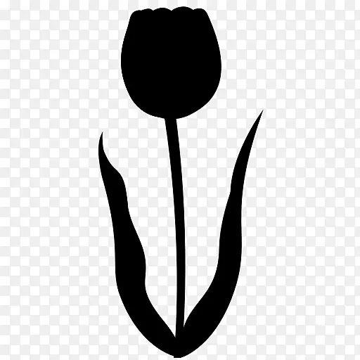 ����ֲ���������Ҷ-������