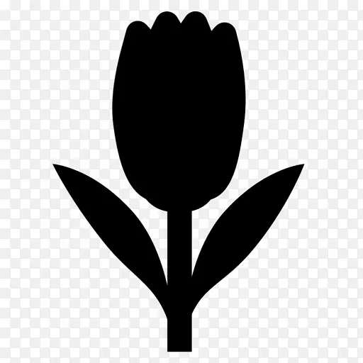 ��ֽ����ֲ�ﾥ��������ֲ��-������