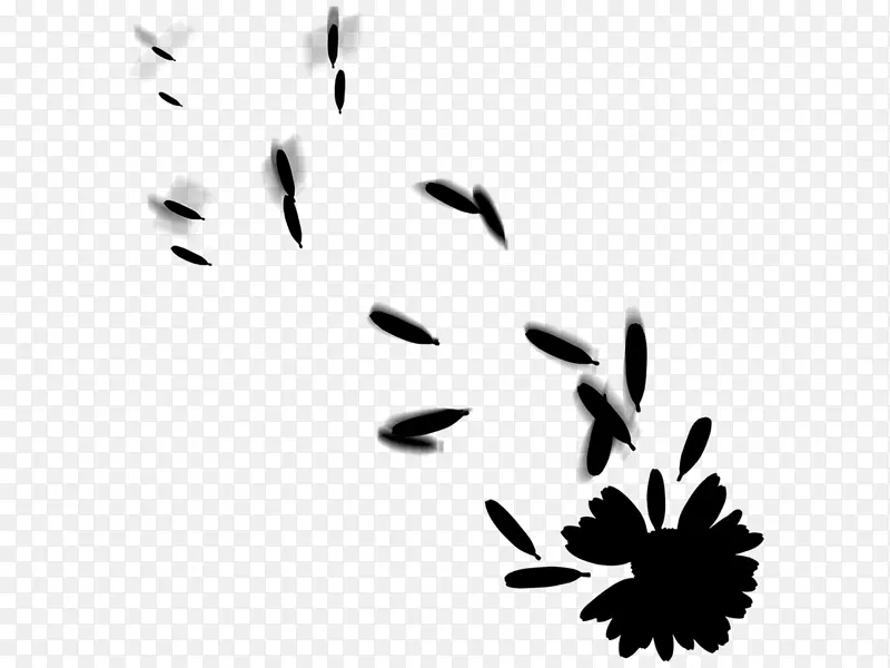 ��ֽ������ֲ�ﾥ����ֲ��-������