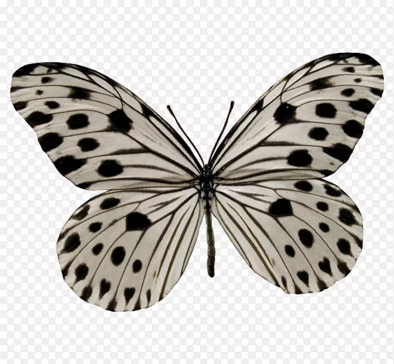 �������Ͻ棬������ľ���棬�����������뻢-����-������